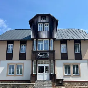 Aparthotel Synek